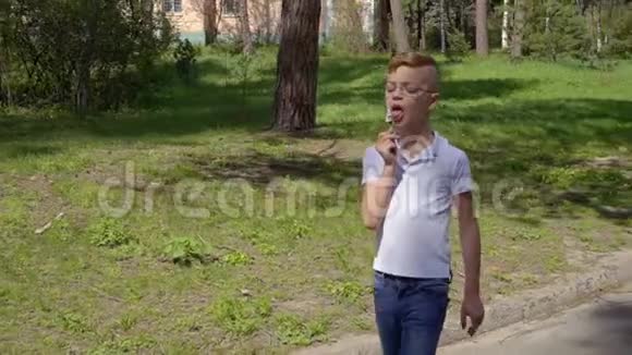 可爱的男孩是眼镜在夏天公园散步吃冰淇淋视频的预览图