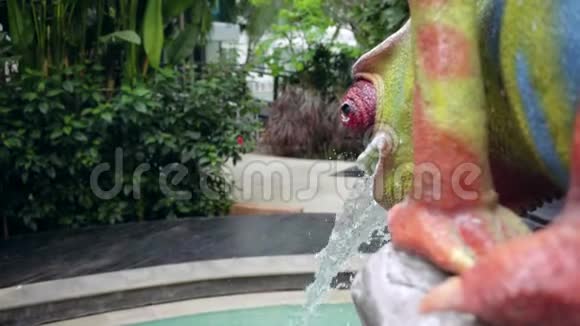 从喷泉中溅出的水像是一只鲜艳的多色蜥蜴4k视频的预览图