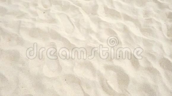 全高清1080x1920p特写沙滩背景上的沙质视频的预览图