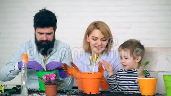 母子俩拍掌唱着歌直到父亲在花盆里种花和你的家人玩得开心视频的预览图