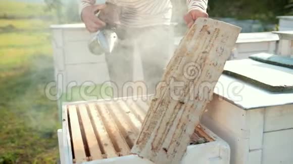 养蜂人打开蜂巢吸着烟让蜜蜂平静下来抽了很多烟视频的预览图