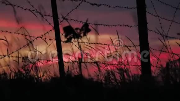 在多云红蓝天空的背景上有铁丝网和草的栅栏视频的预览图