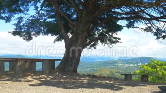 一棵巨大的松树下的长凳映衬着蓝天白云的绿色山谷复制空间视频的预览图