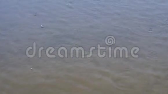 河水上的雨滴背景视频的预览图