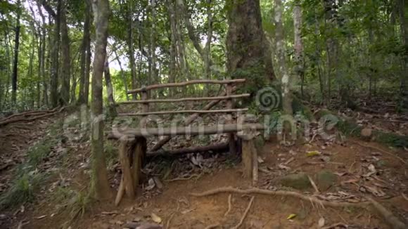 木制的森林长凳视频的预览图