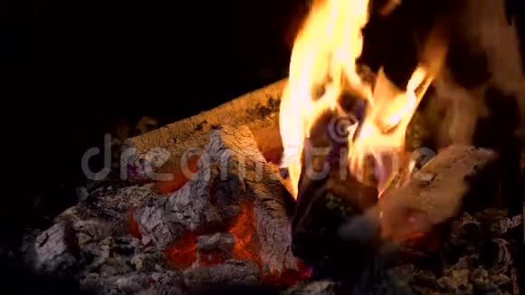 火的火焰在燃烧火焰视频的预览图