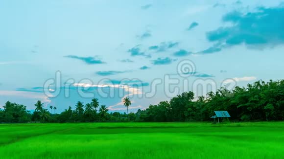 时光流逝夕阳西下稻间小屋视频的预览图