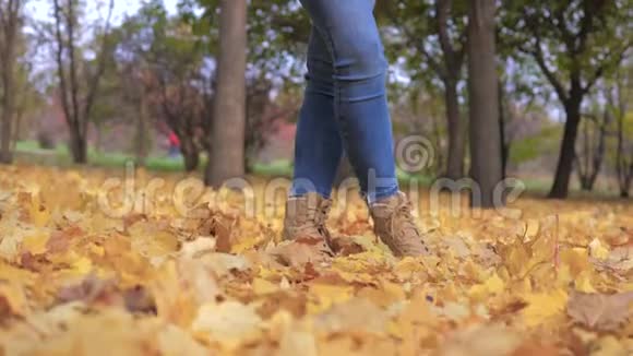 秋天公园里美丽的女人捧着一束秋天的金色叶子视频的预览图
