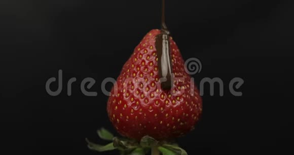 成熟多汁的草莓倒在黑色背景的巧克力上关门视频的预览图