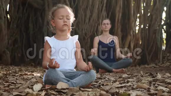 小女孩和小妈妈一起在榕树下冥想视频的预览图
