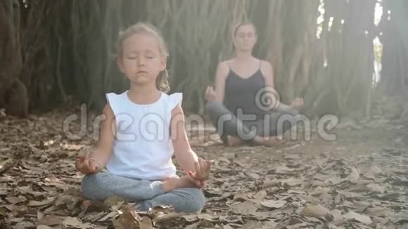 小女孩和小妈妈一起在榕树下冥想视频的预览图