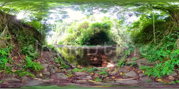 亚洲丛林中的河流vr360视频的预览图