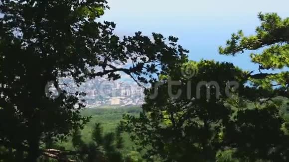 从高山到海边城市的景色视频的预览图