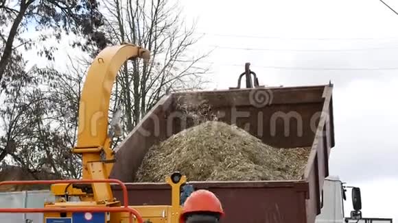 将树木磨成木屑的机器视频的预览图