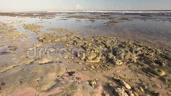 巴厘岛上的狂野海滩视频的预览图