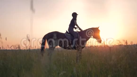 一个运动员坐在一匹马的日落背景上视频的预览图