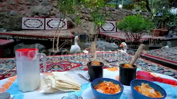 在伊朗Tehrn的Darband咖啡馆喂鹅视频的预览图