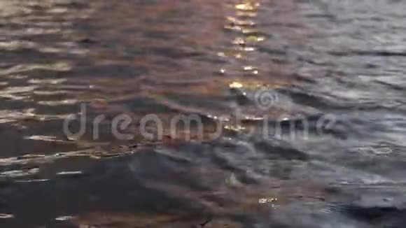 日落时水波斑斓水面上风起视频的预览图