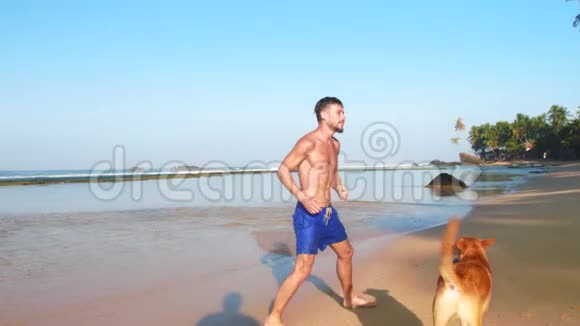 运动男和狗一起沿着海岸线慢跑视频的预览图
