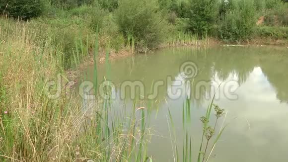 炎热的一天在湖面上天空在水中反射视频的预览图