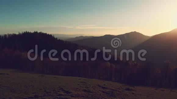 罗马尼亚山脉的空中小鹿视频的预览图