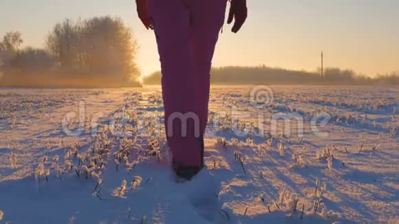 在日落时白雪覆盖的田野上在冬天行走的泛底向上的女人视频的预览图
