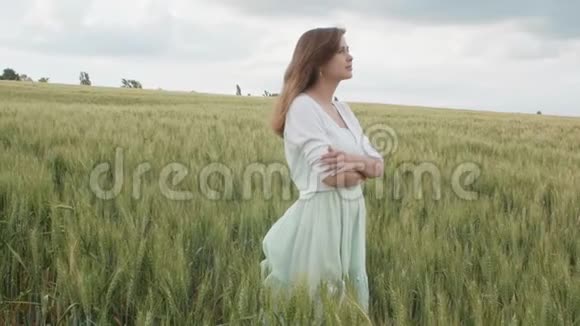 美丽的年轻的俄罗斯女孩在高大的绿色小麦小穗在田间年轻的女人享受夏天人类的和谐视频的预览图