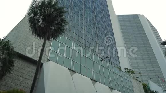 一座高大的玻璃摩天大楼和一棵棕榈树在公司大楼前的建筑视频的预览图