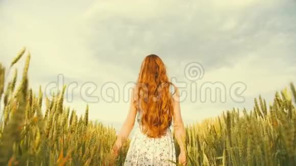 一个可爱的女孩走在麦田里视频的预览图