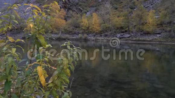 一条以多石岸和奥特曼森林为背景的河流的风景景观视频的预览图