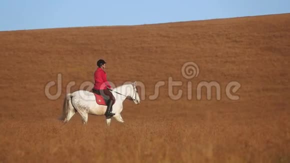 女人骑着马在田野里拥抱慢动作侧视图视频的预览图