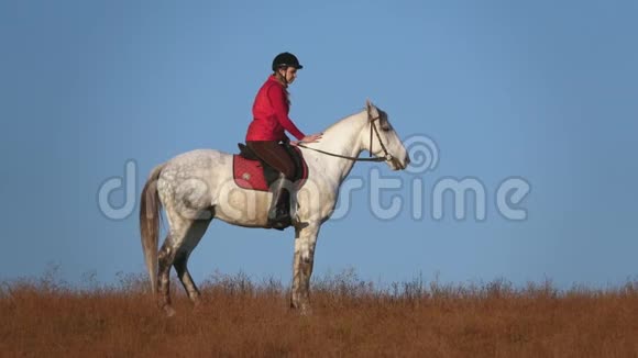 女孩骑着马在田野里拥抱慢动作侧视图视频的预览图