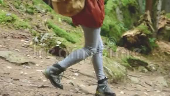 瘦女孩沿着针叶林的小路走高加索保护区的旅游业会接近摄像机视频的预览图