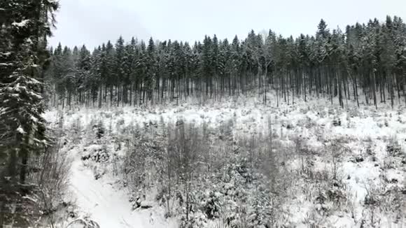 从冬季森林的空气中看山上降雪视频的预览图
