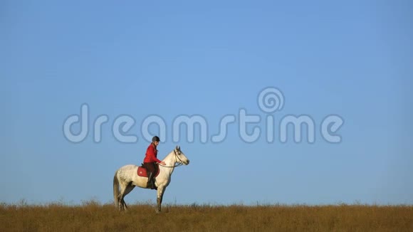 马女骑着马在田里拥抱慢动作侧视图视频的预览图
