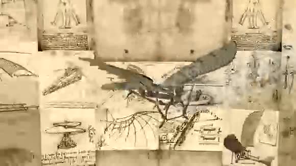 达芬奇古董飞行机动画视频的预览图
