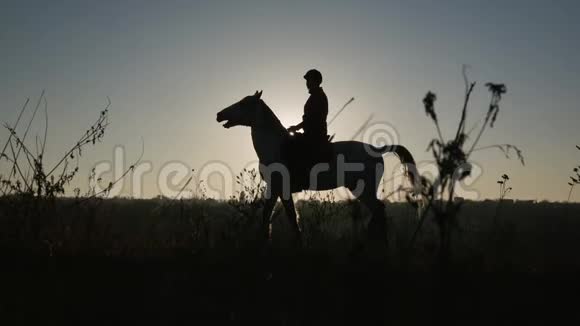 户外骑马的女人在田里骑马剪影慢动作侧视图视频的预览图