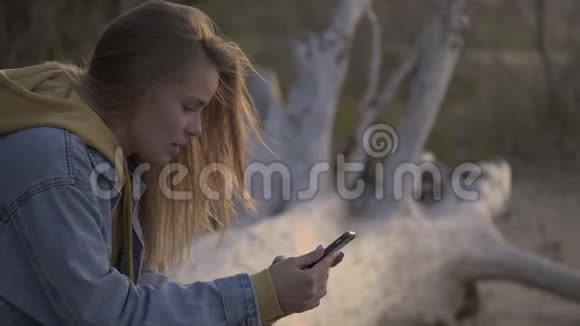 日落海滩和女孩用智能手机聊天视频的预览图