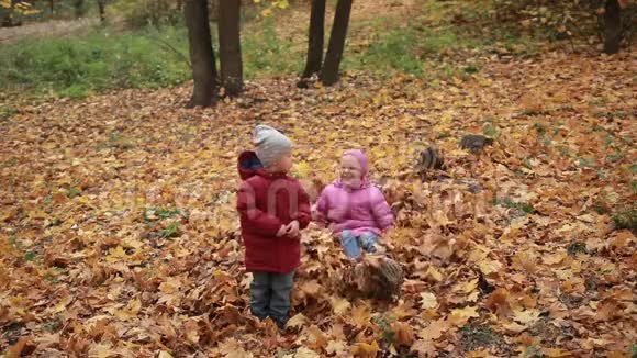 无忧无虑的孩子们在一堆落叶中玩耍视频的预览图