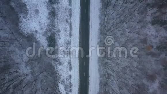 暴风雪中穿过冬季森林的空路鸟瞰图视频的预览图