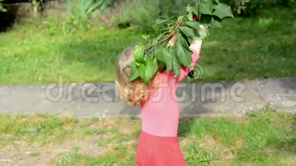 从树上吃红樱桃的女孩视频的预览图