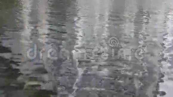 水中的涟漪视频的预览图