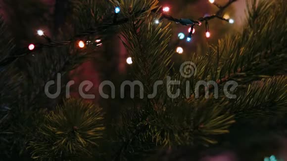 圣诞花环上的圣诞灯光刺眼视频的预览图