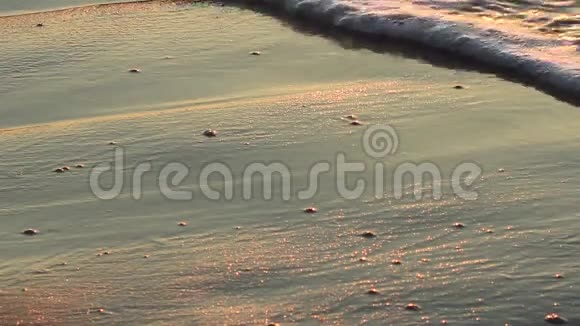 日落时沙滩上的海沫视频的预览图
