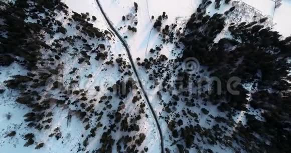 雪山全景雪中绿大树乌克兰喀尔巴阡山脉野生植物群的鸟瞰图视频的预览图