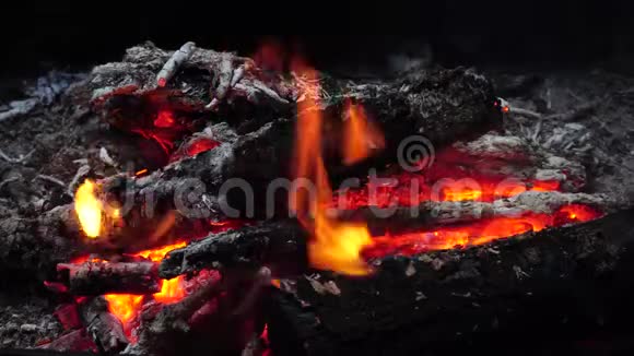 柴火在夜间4K燃烧视频的预览图