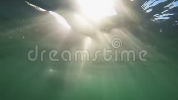 一个漂浮在海水下的女人的剪影视频的预览图