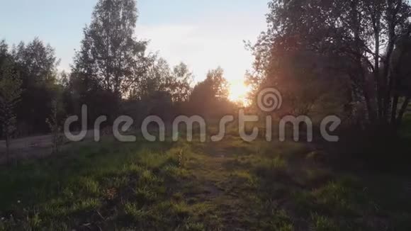 晚上公园里的树阳光透过树梢视频的预览图