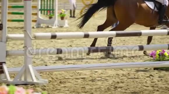 UndoryUlyanovsk地区俄罗斯2018年9月2日一马的骑师女孩在马术比赛中表演视频的预览图