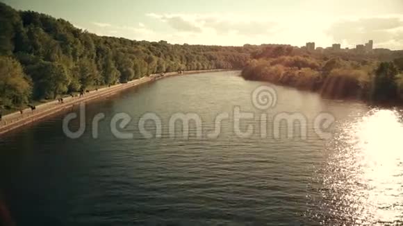 阳光明媚的日子里河流和公园里的河流视频的预览图
